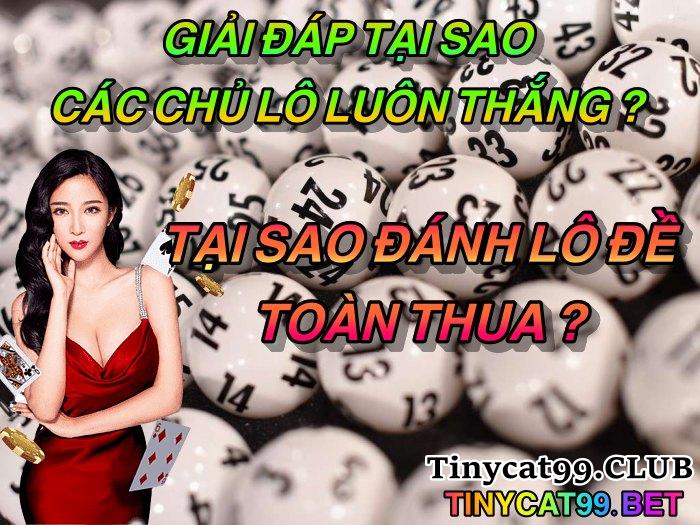 Tại sao đánh lô đề toàn thua