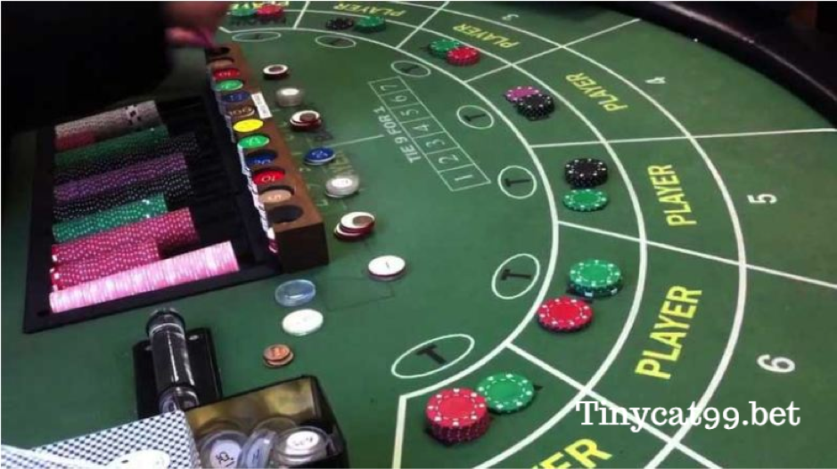 Chơi bài Baccarat Tinycat99, choi bai baccarat tinycat99, cách chơi baccarat tinycat99, cach choi baccarat tinycat99, baccarat tinycat99