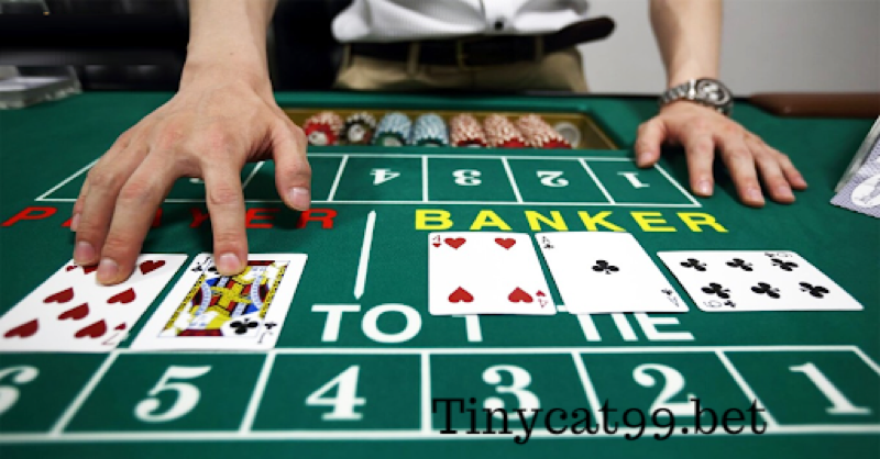 Chơi bài Baccarat Tinycat99, choi bai baccarat tinycat99, cách chơi baccarat tinycat99, cach choi baccarat tinycat99, baccarat tinycat99