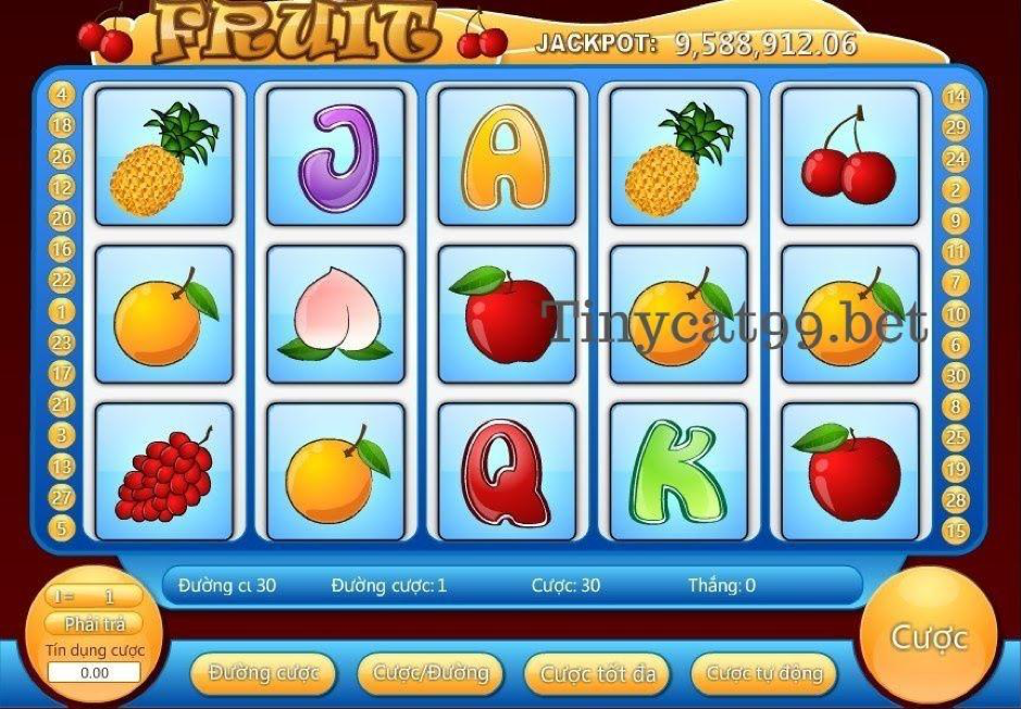 Slot Fruit trên Tinycat99, slot fruit tinycat99