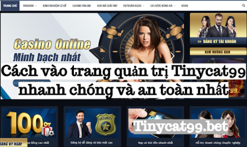 Cách vào trang quản trị Tinycat99