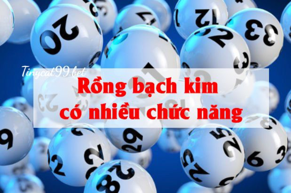 cầu lô đề rồng bạch kim