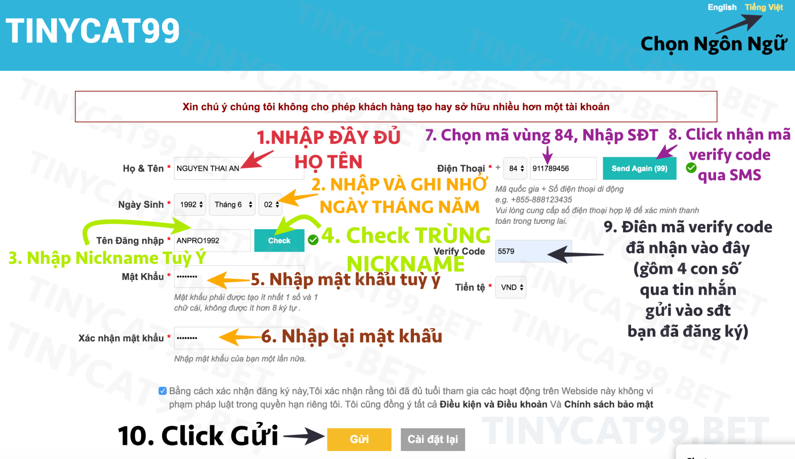 Form hướng dẫn đăng ký tinycat99