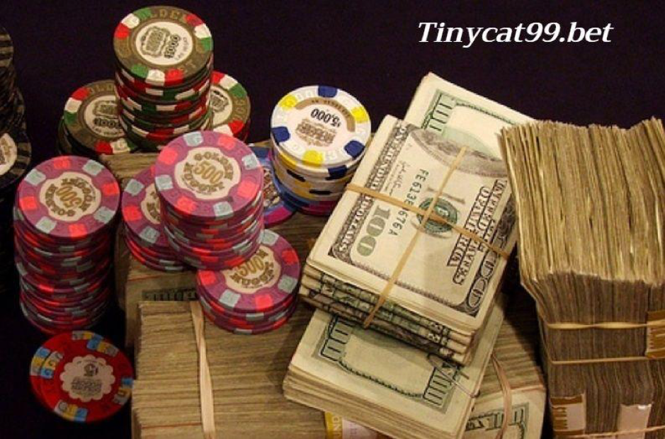 casino trực tuyến tinycat99, casino truc tuyen tinycat99, casino online tinycat99, casino truc tuyen, casino trực tuyến, casino online