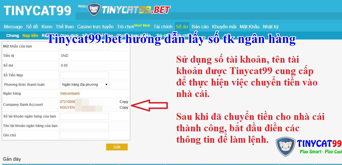 nap tien tinycat99, nạp tiền tinycat99, gởi tiền tinycat99