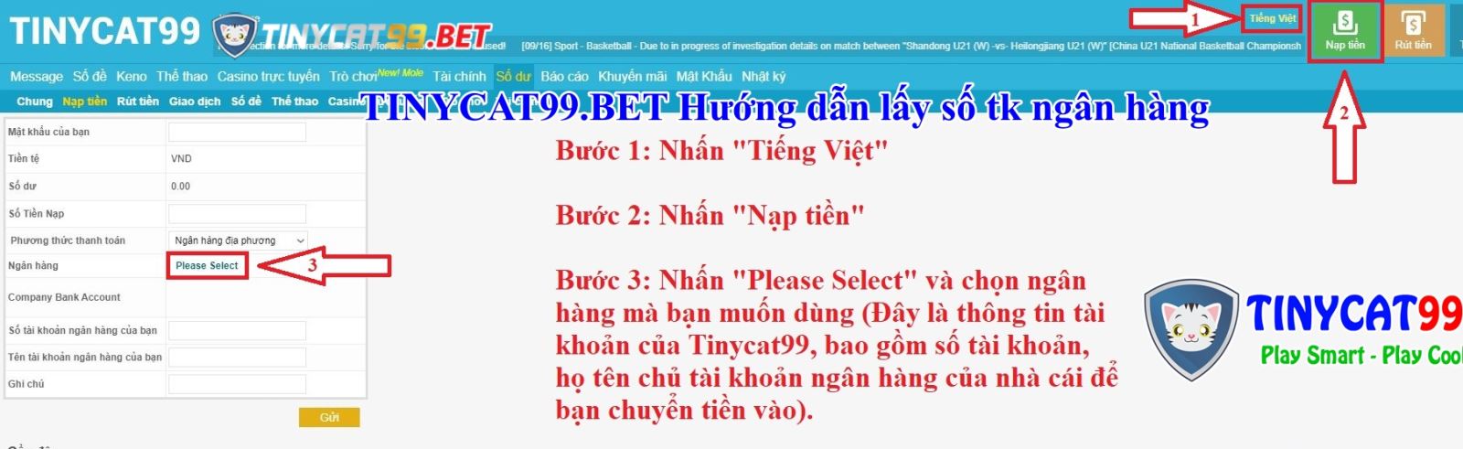 nạp tiền tinycat99