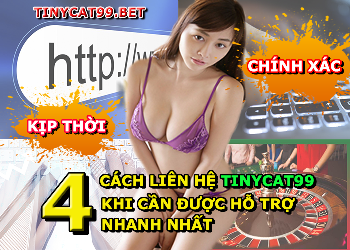 Liên hệ tinycat99 như thế nào?