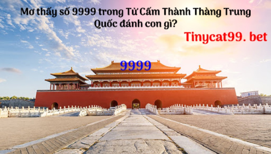 Giấc mơ về bí ẩn nơi thâm cung trong Tử Cấm Thành