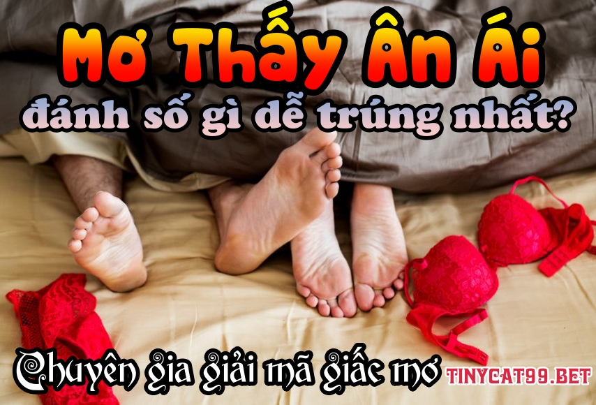 mơ thấy ân ái, mơ thấy ân ái đánh con gì, mo thay an ai