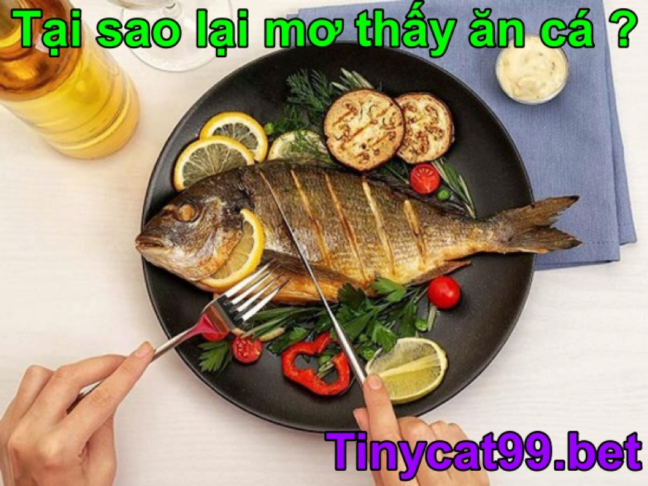 mơ thấy ăn cá, mơ thấy ăn cá đánh con gì, mơ thấy ăn cá điềm gì