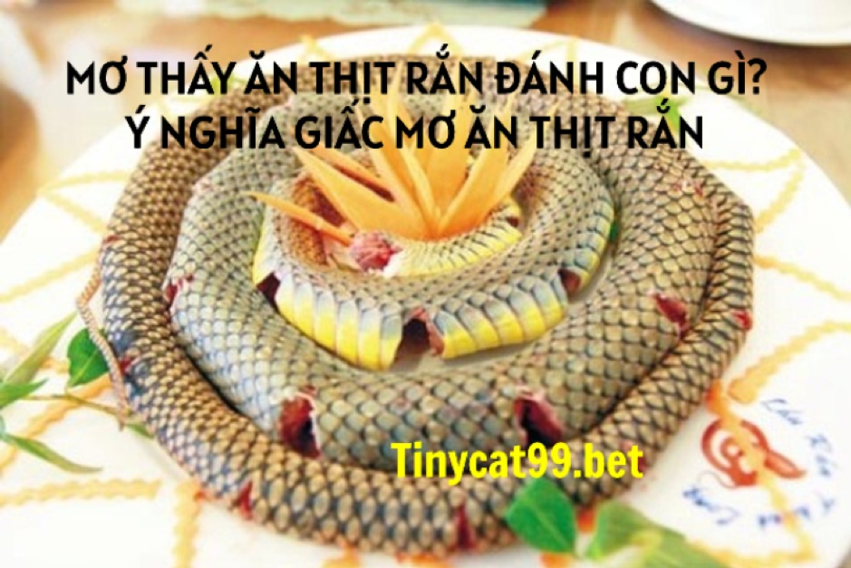 Mơ Thấy Ăn Thịt Rắn