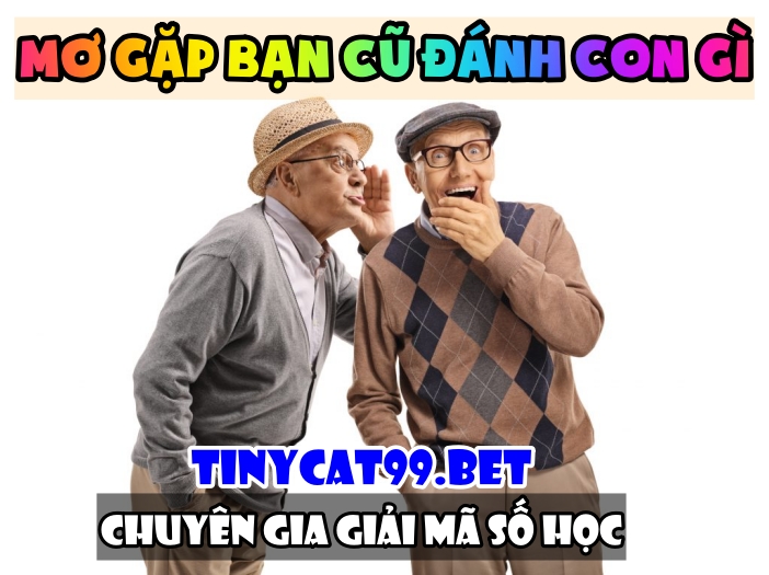 Mơ Gặp Bạn Cũ Đánh Con Gì - Giải Mã Giấc Mơ Thấy Bạn Cũ