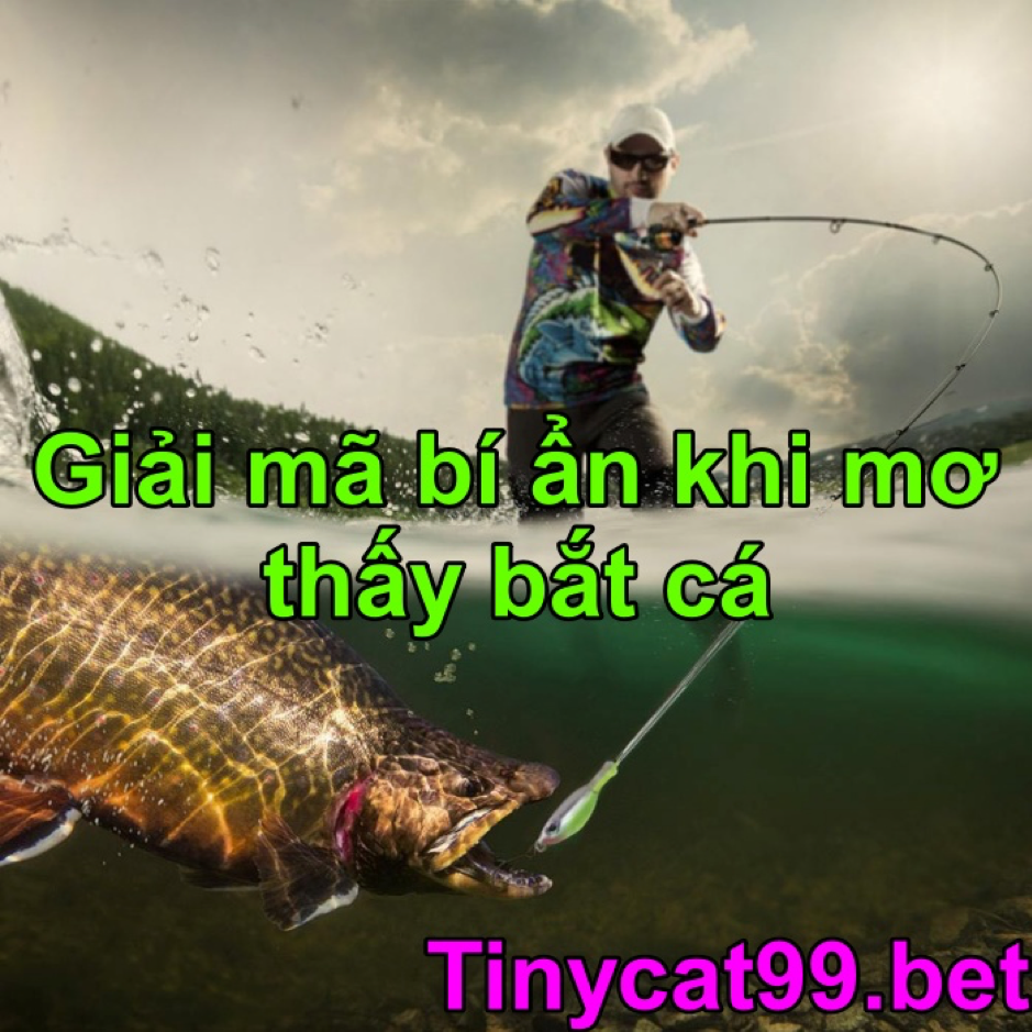 nằm mơ thấy bắt cá