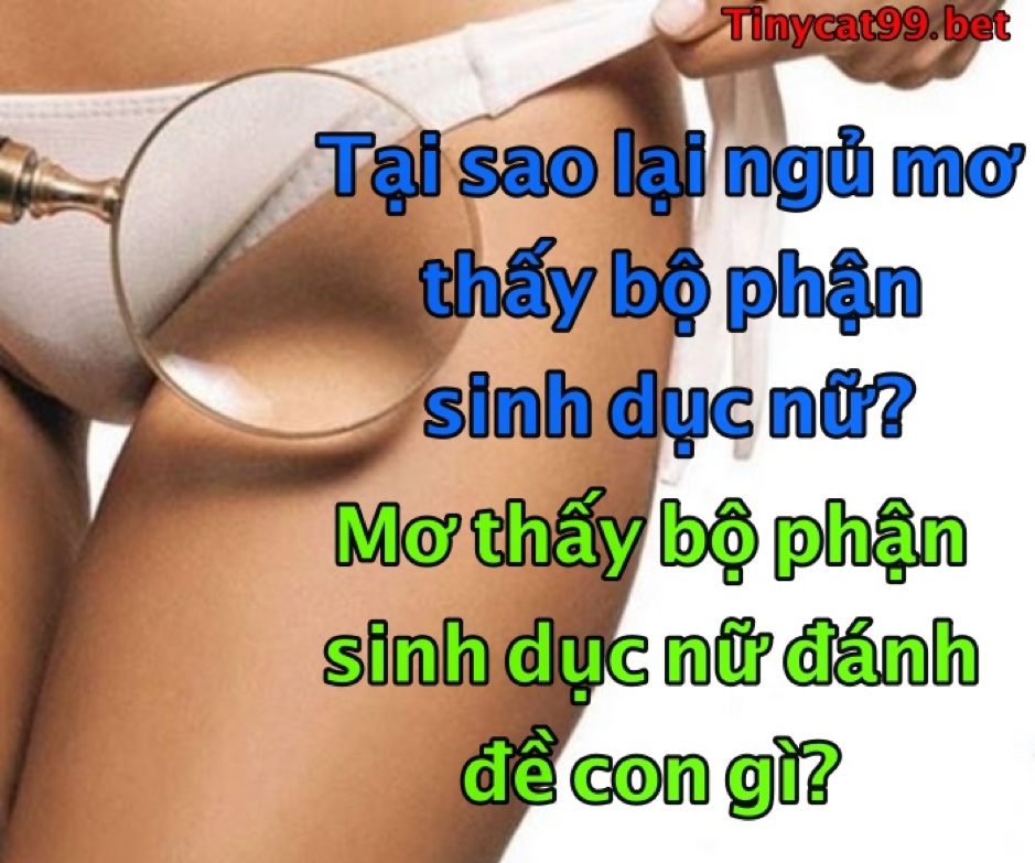 Mơ thấy bộ phận sinh dục phụ nữ