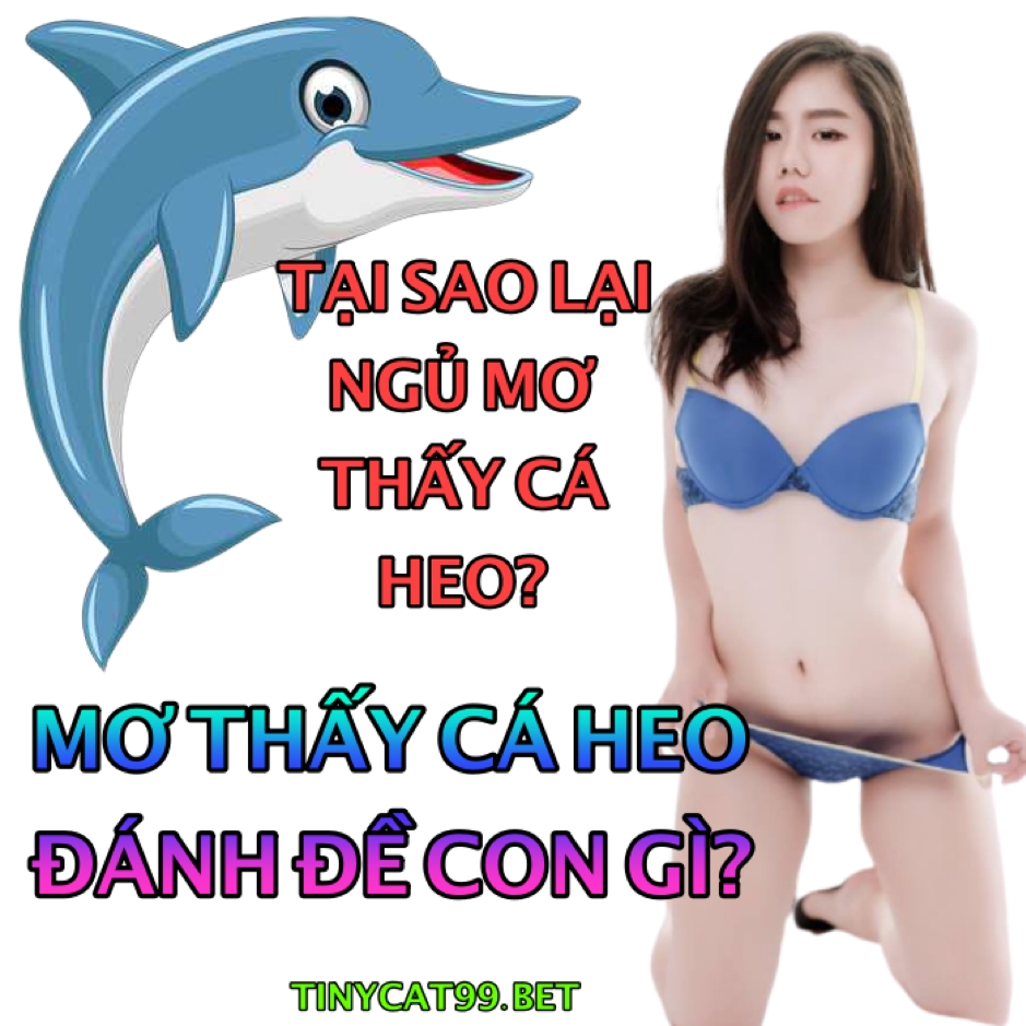 mơ thấy cá heo