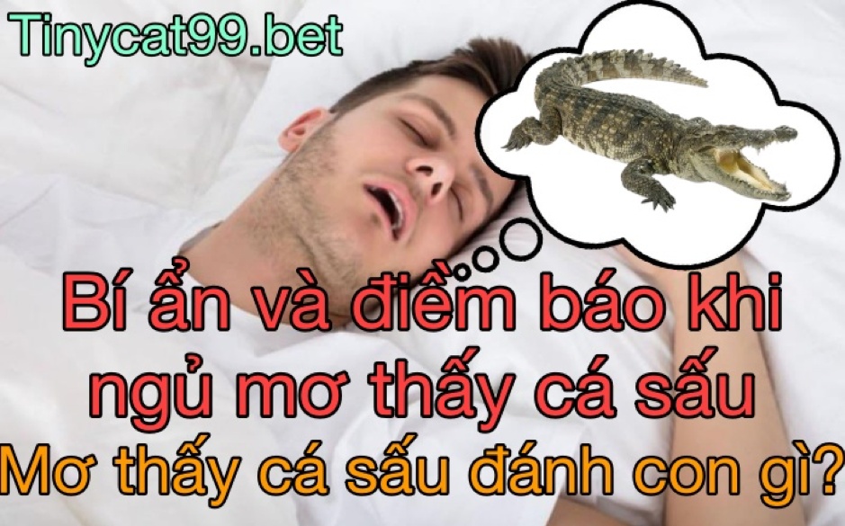 mơ thấy cá sấu