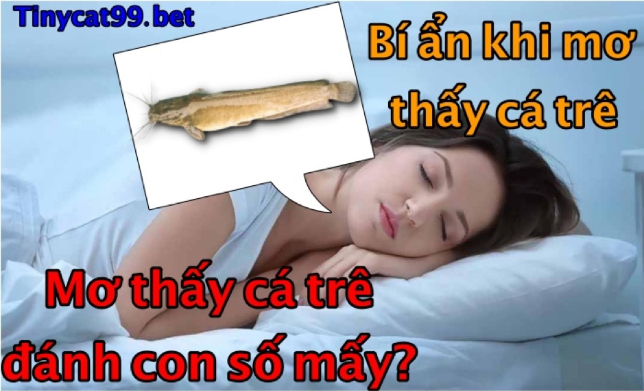 mơ thấy cá trê