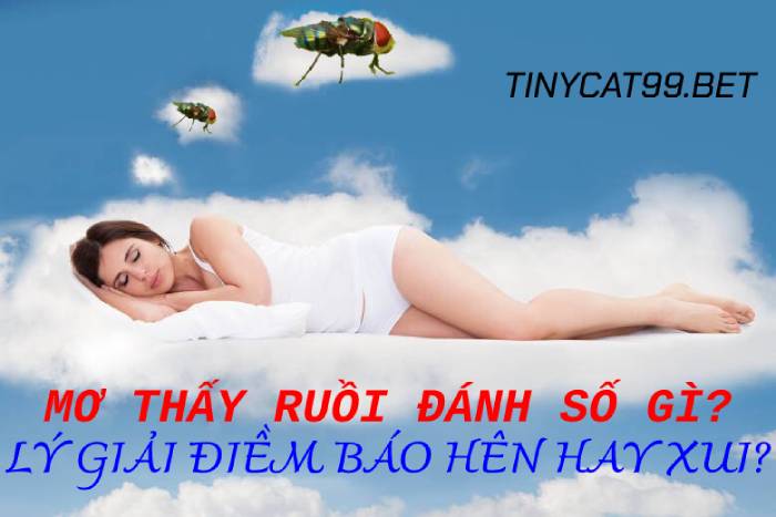 Giấc mơ về con ruồi mang lại ý nghĩa gì?