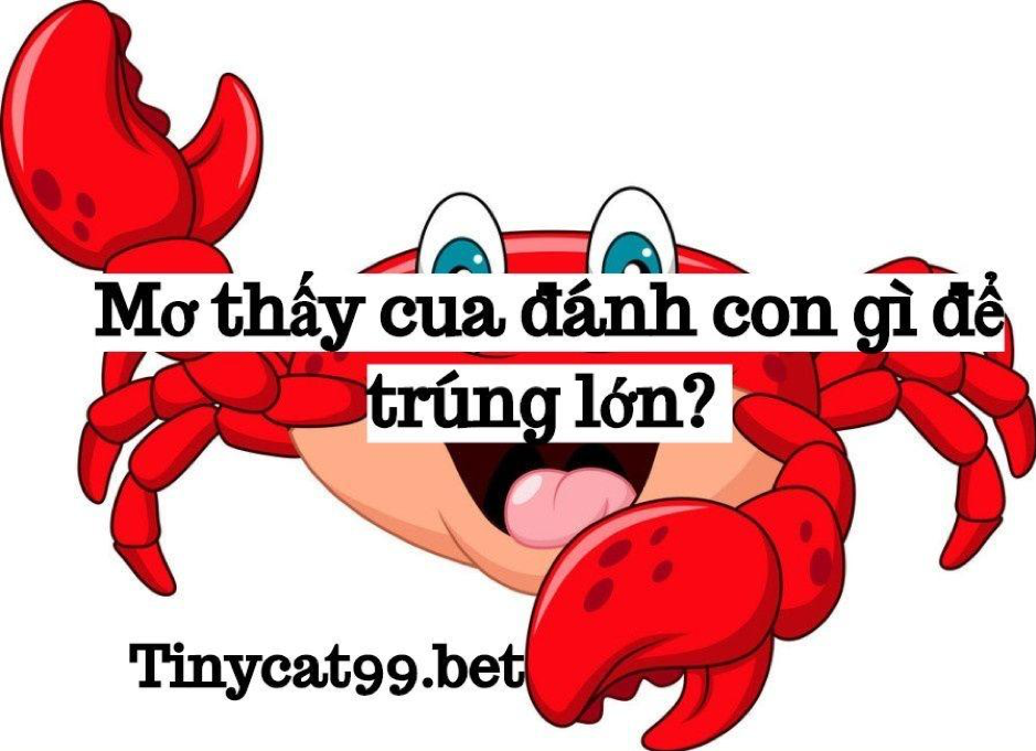 Mơ thấy cua đánh con gì, mo thay cua, mo thay cua danh con gi, mơ thấy cua, con cua số mấy, con cua so may