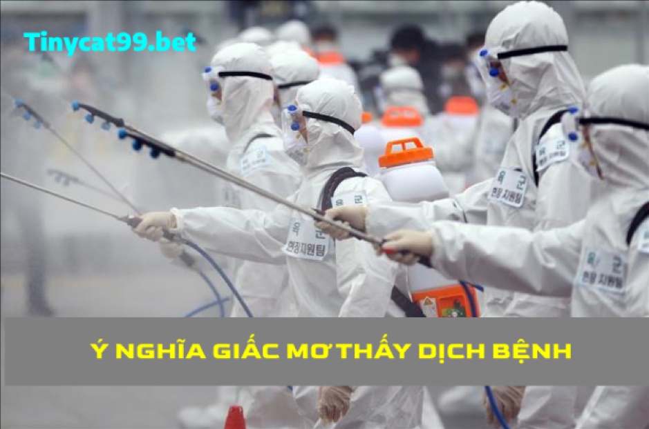 Mơ Thấy Dịch Bệnh Đánh Con Gì, Mơ Thấy Dịch Bệnh