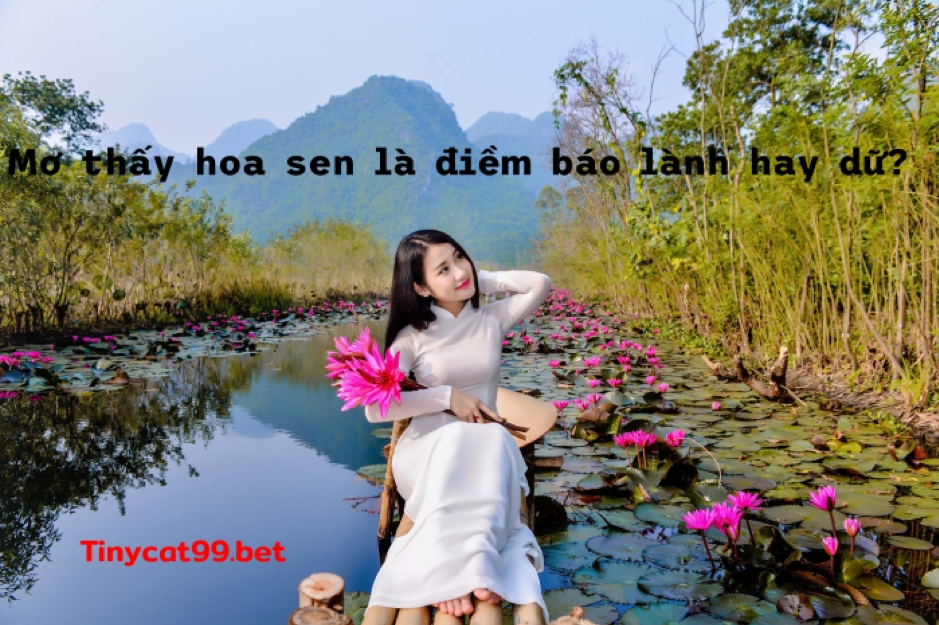 mơ thấy hoa sen