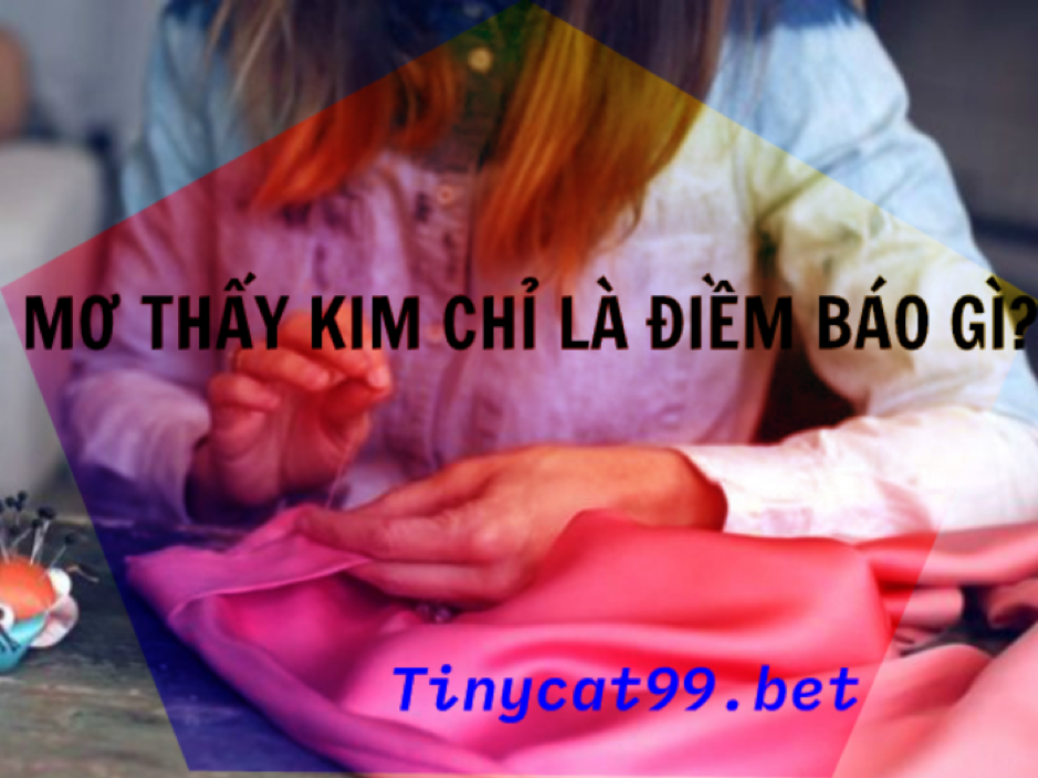 Điềm báo hên hay xui khi mơ thấy kim chỉ