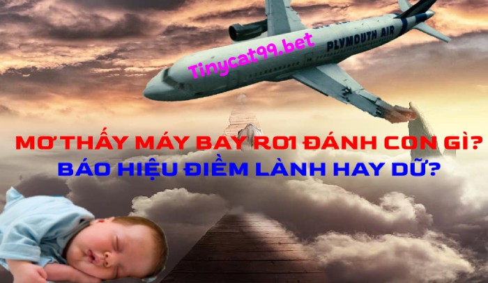 Ý nghĩa giấc mơ thấy máy bay rơi