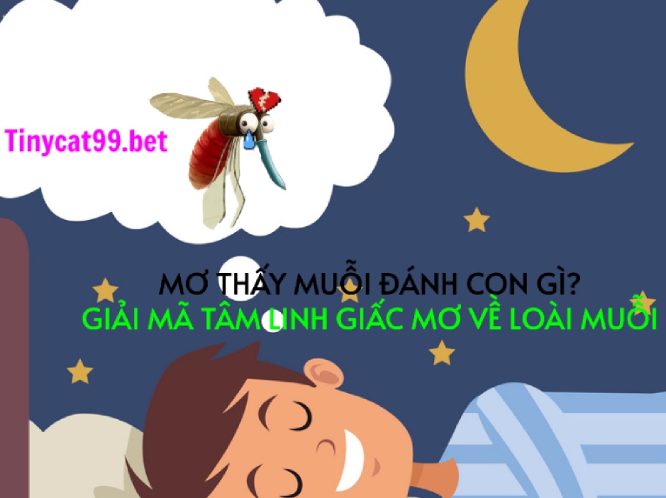 Mơ Thấy Muỗi Đánh Con Gì