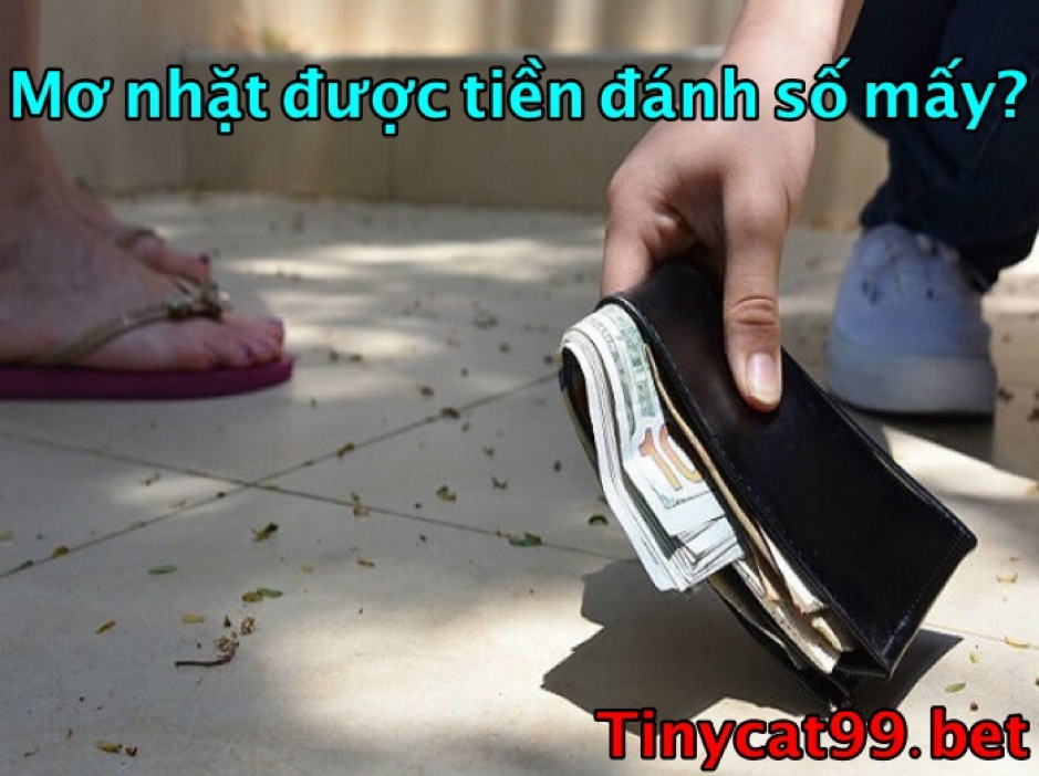 mơ thấy nhặt được tiền