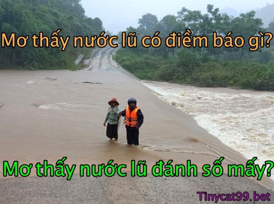 mơ thấy nước lũ