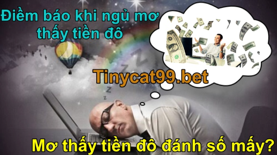 Mơ thấy tiền đô đánh con gì, mơ thấy tiền đô