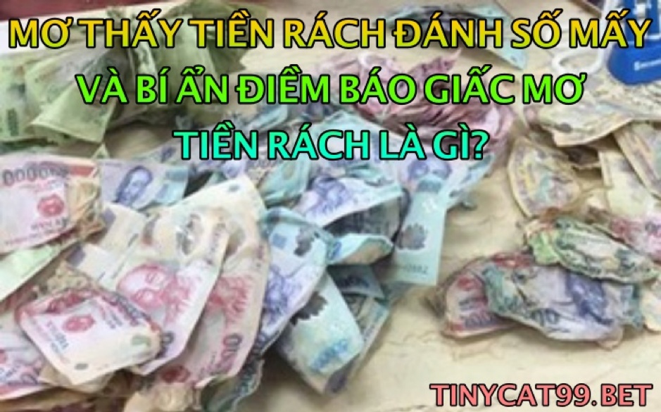 Mơ Thấy Tiền Rách