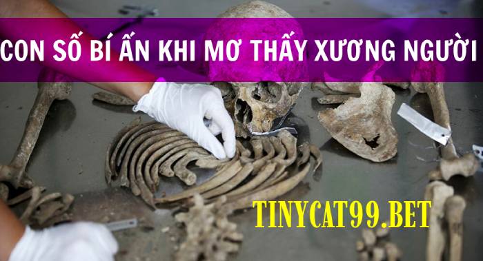 Tại sai mơ thấy xương người?