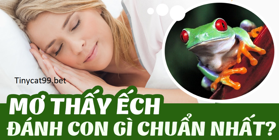 mơ thấy ếch đánh con gì, mơ thấy ếch, con ếch số mấy