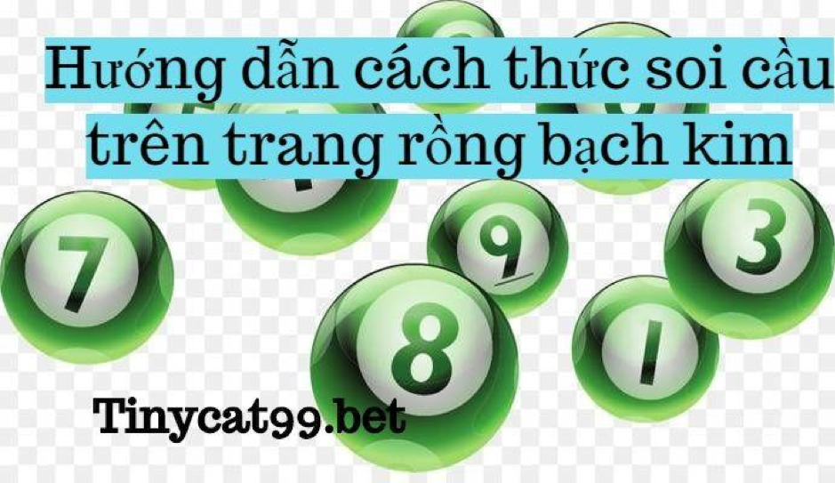 soi cầu rồng bạch kim