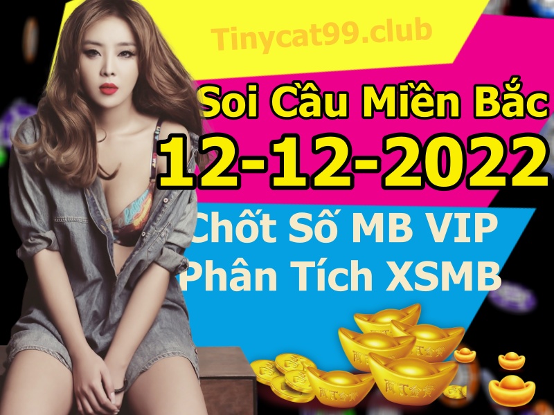 soi cầu xsmb 13-12-2022, soi cầu mb 13-12-2022, dự đoán xsmb 13-12-2022, btl mb 13-12-2022, dự đoán miền bắc 13-12-2022, chốt số mb 13-12-2022, soi cau mien bac 13 12 2022