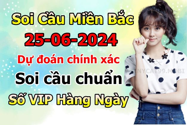 soi cầu xsmb 25/06/2024, soi cầu mb 25 06 2024, dự đoán xsmb 25-06-2024, btl mb 25 06 2024, dự đoán miền bắc 25/06/2024, chốt số mb 25 06 2024, soi cau mien bac  25-06-2024