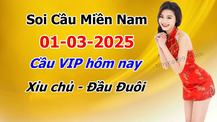 soi cầu xsmn 01-03-2025, soi cầu mn 01-03-2025, dự đoán xsmn 01-03-2025, btl mn 01-03-2025, dự đoán miền nam 01-03-2025, chốt số mn 01-03-2025, soi cau mien nam 01-03-2025