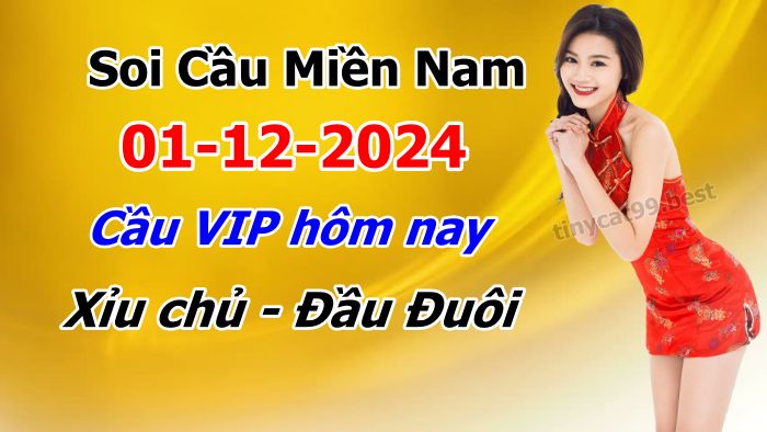 soi cầu xsmn 01-12-2024, soi cầu mn 01-12-2024, dự đoán xsmn 01-12-2024, btl mn 01-12-2024, dự đoán miền nam 01-12-2024, chốt số mn 01-12-2024, soi cau mien nam 01 12 2024