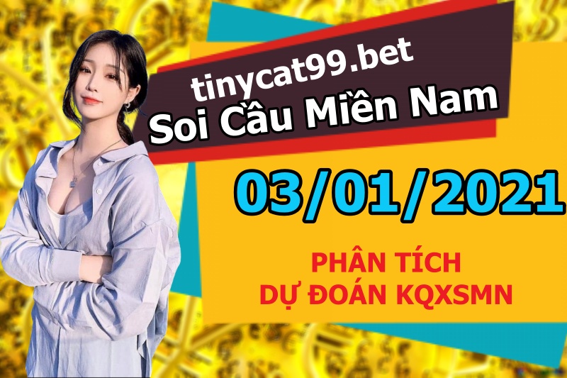 soi cầu xsmn 03 01 2021, soi cầu mn 03-01-2021, dự đoán xsmn 03-01-2021, btl mn 03-01-2021, dự đoán miền nam 03-01-2021, chốt số mn 03-01-2021, soi cau mien nam 03-01-2021