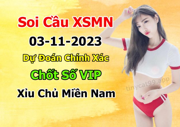 soi cầu xsmn 03-11-2023, soi cầu mn 03-11-2023, dự đoán xsmn 03-11-2023, btl mn 03-11-2023, dự đoán miền nam 03-11-2023, chốt số mn 03-11-2023, soi cau mien nam 03-11-2023