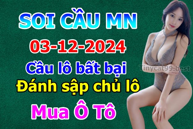 soi cầu xsmn 03 12 2024, soi cầu mn 03/12/2024, dự đoán xsmn 03 12 2024, btl mn 03-12-2024, dự đoán miền nam 03/12/2024, chốt số mn 03 12 2024, soi cau mien nam 03-12-2024