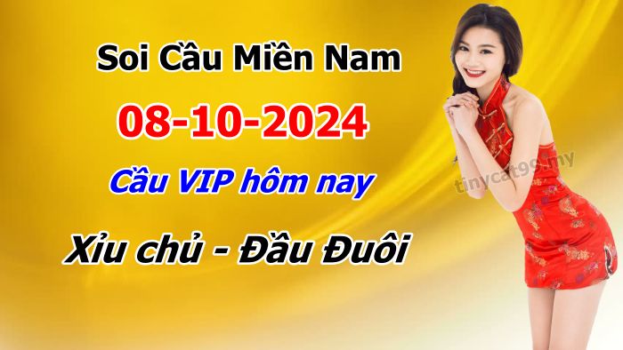 soi cầu xsmn 08 10 2024, soi cầu mn 08/10/2024, dự đoán xsmn 08 10 2024, btl mn 08-10-2024, dự đoán miền nam 08/10/2024, chốt số mn 08 10 2024, soi cau mien nam 08-10-2024