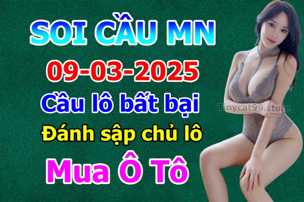 soi cầu xsmn 09-03-2025, soi cầu mn 09-03-2025, dự đoán xsmn 09-03-2025, btl mn 09-03-2025, dự đoán miền nam 09-03-2025, chốt số mn 09-03-2025, soi cau mien nam 09 03 2025