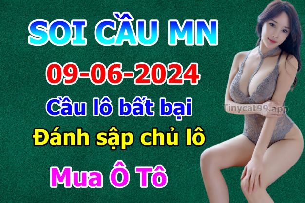 soi cầu xsmn 09-06-2024, soi cầu mn 09-06-2024, dự đoán xsmn 09-06-2024, btl mn 09-06-2024, dự đoán miền nam 09-06-2024, chốt số mn 09-06-2024, soi cau mien nam 09 06 2024