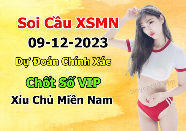 soi cầu xsmn 09-12-2023, soi cầu mn 09-12-2023, dự đoán xsmn 09-12-2023, btl mn 09-12-2023, dự đoán miền nam 09-12-2023, chốt số mn 09-12-2023, soi cau mien nam 09-12-2023