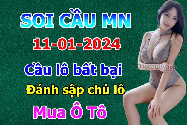 soi cầu xsmn 11-01-2024, soi cầu mn 11-01-2024, dự đoán xsmn 11-01-2024, btl mn 11-01-2024, dự đoán miền nam 11-01-2024, chốt số mn 11-01-2024, soi cau mien nam 11 01 2024