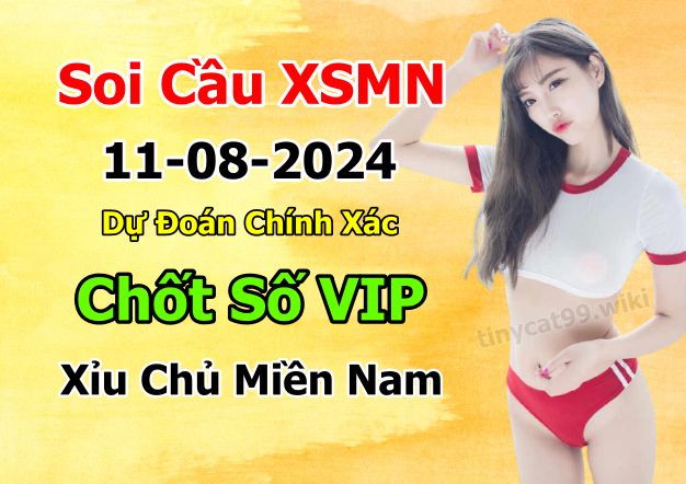 soi cầu xsmn 11-08-2024, soi cầu mn 11-08-2024, dự đoán xsmn 11-08-2024, btl mn 11-08-2024, dự đoán miền nam 11-08-2024, chốt số mn 11-08-2024, soi cau mien nam 11 08 2024