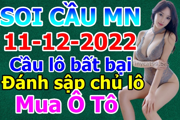 soi cầu xsmn 11 12 2022, soi cầu mn 11-12-2022, dự đoán xsmn 11-12-2022, btl mn 11-12-2022, dự đoán miền nam 11-12-2022, chốt số mn 11-12-2022, soi cau mien nam 11-12-2022