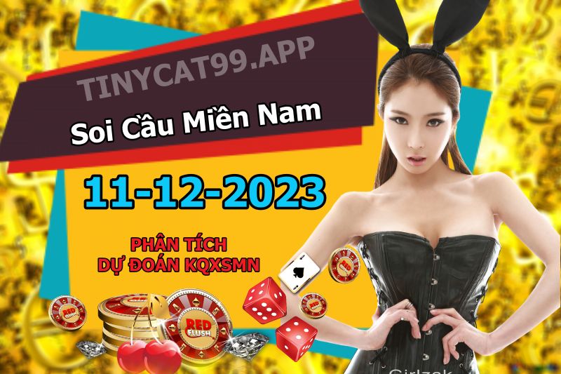 vsoi cầu xsmn 11-12-2023, soi cầu mn 11/12/2023, dự đoán xsmn 11-12-2023, btl mn 11 12 23, dự đoán miền nam 11/12/2023, chốt số mn 11-12-2023, soi cau mien nam 11-12-2023